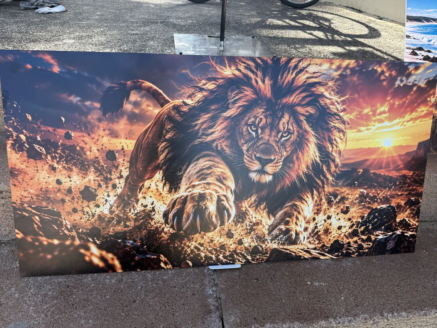 Impression UV sur dibond — lion au coucher du soleil